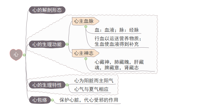 中医五脏思维导图图片