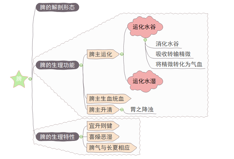 《五脏》思维导图精华版,带你认识心肺脾肝肾