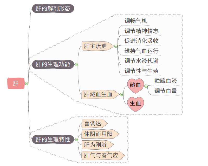 中医五脏思维导图图片