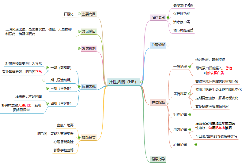 肝性脑病思维导图图片