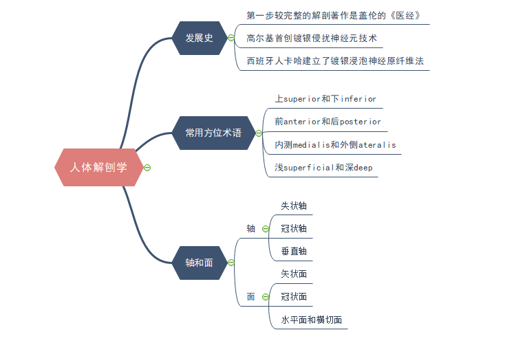 护理学