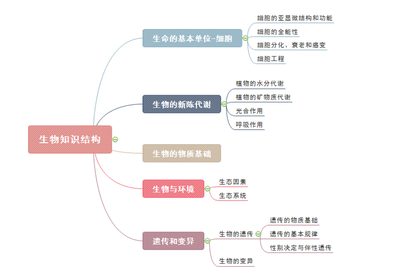 思维导图生物