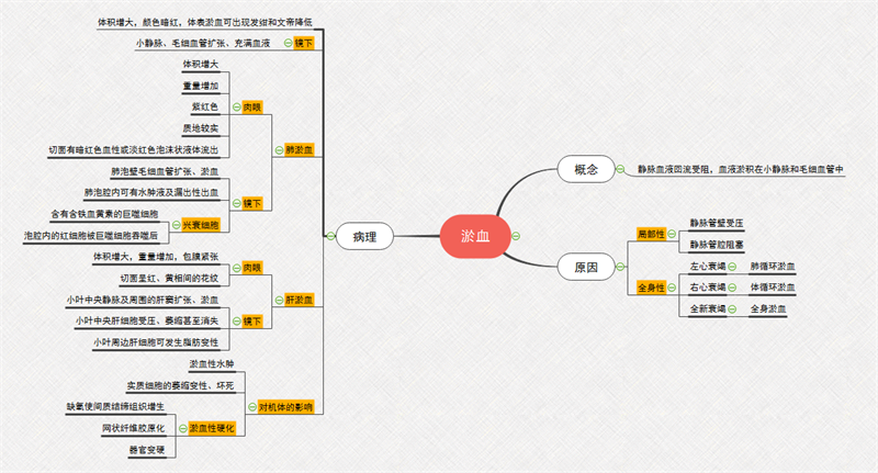 淤血思维导图