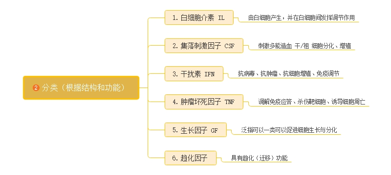 细胞因子