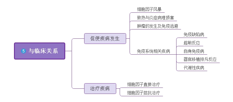 细胞因子