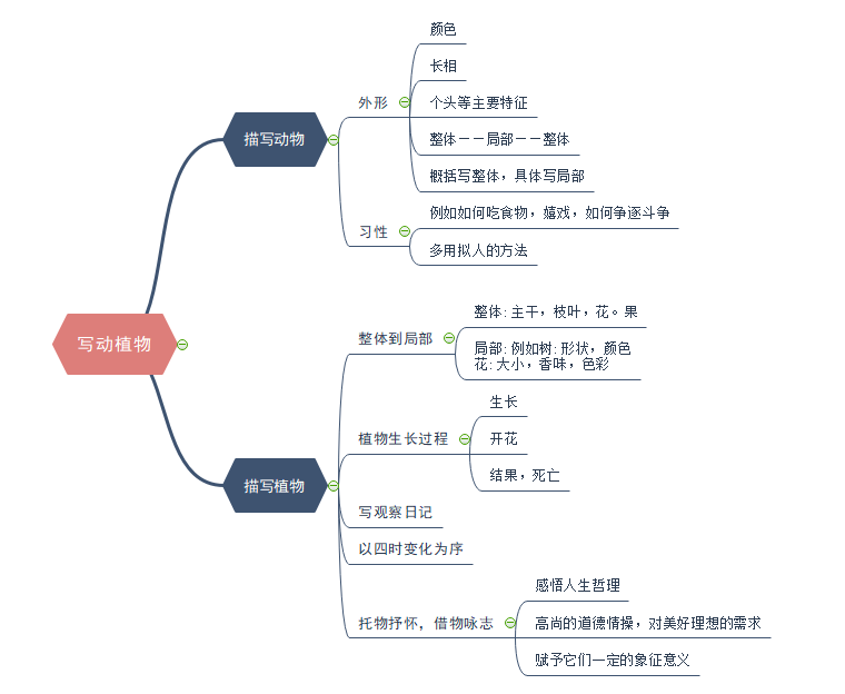 写作技巧思维导图