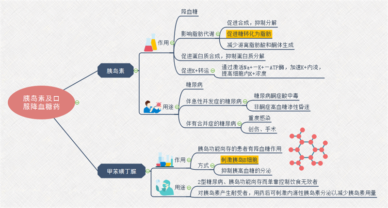 胰岛素思维导图