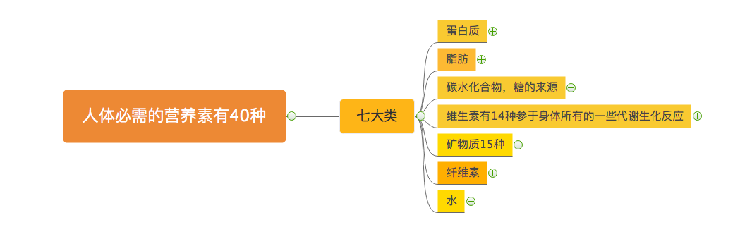 人体所需的营养