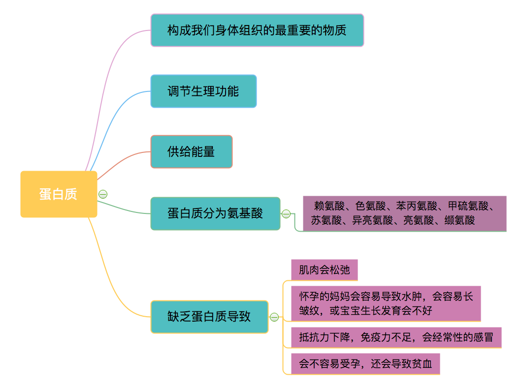 能量与营养素思维导图图片