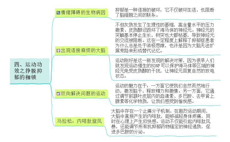 运动改造大脑