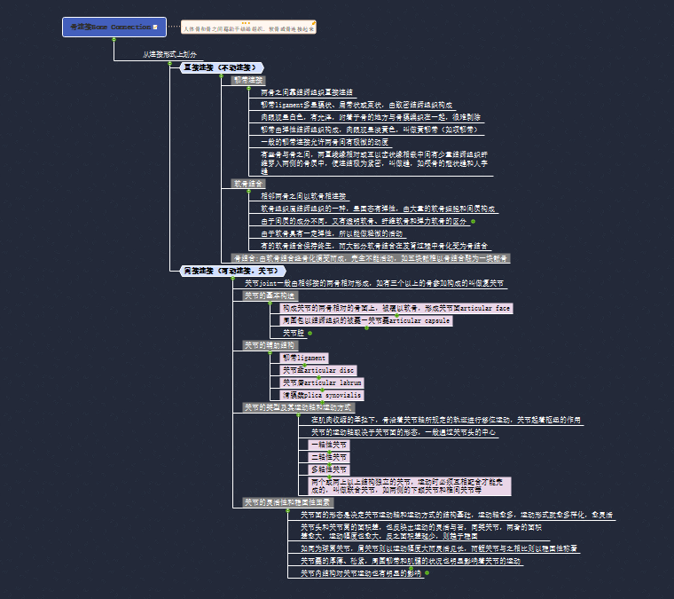 骨连接思维导图