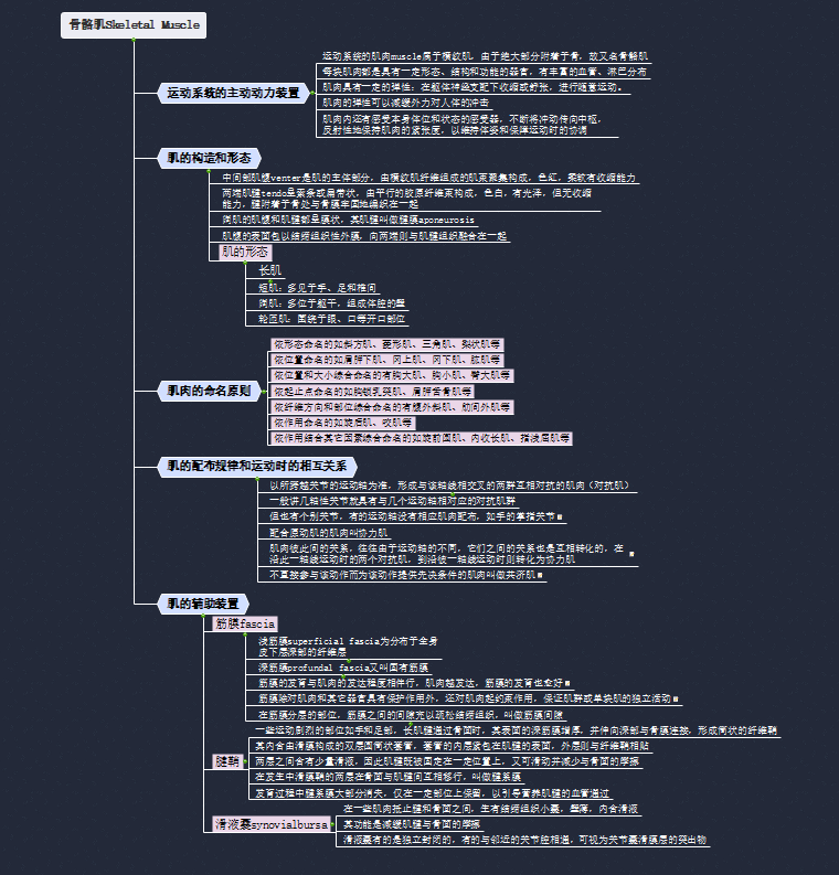 骨骼肌思维导图