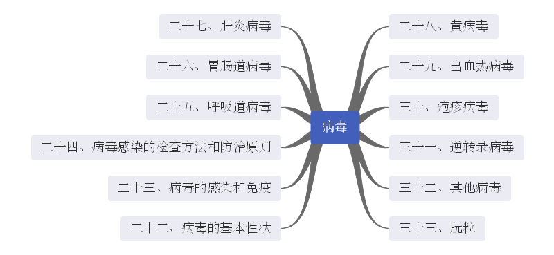 思维导图之病毒