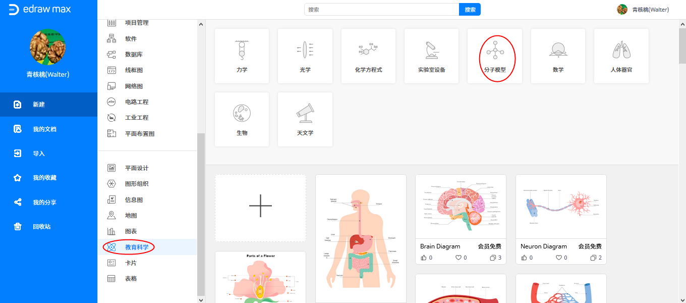 分子模型图