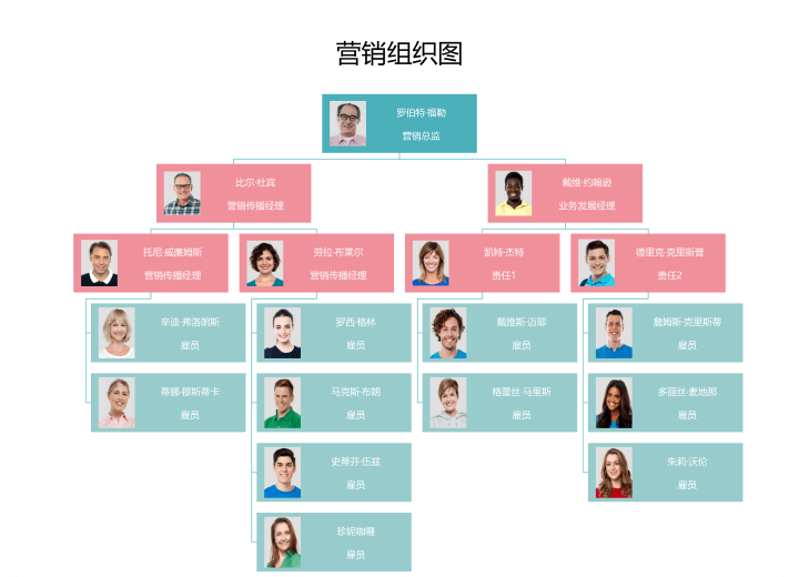 营销组织图